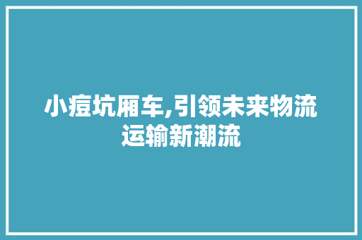 小痘坑厢车,引领未来物流运输新潮流