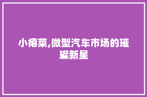小瘪菜,微型汽车市场的璀璨新星