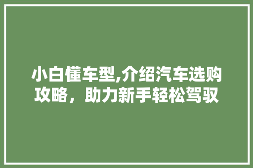 小白懂车型,介绍汽车选购攻略，助力新手轻松驾驭