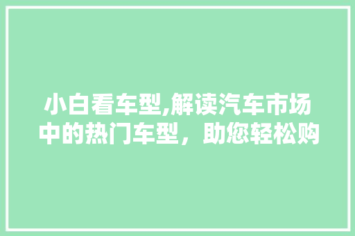 小白看车型,解读汽车市场中的热门车型，助您轻松购车