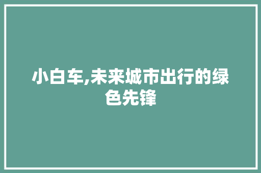 小白车,未来城市出行的绿色先锋