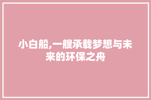 小白船,一艘承载梦想与未来的环保之舟