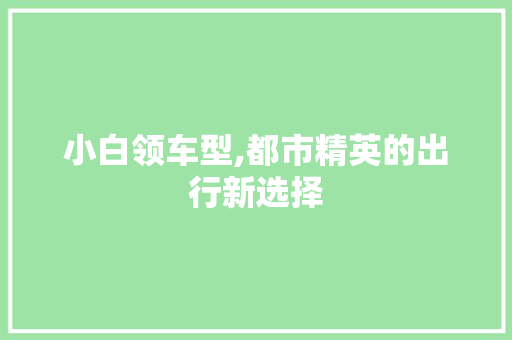 小白领车型,都市精英的出行新选择