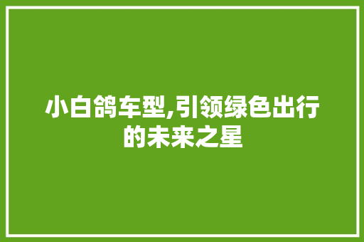小白鸽车型,引领绿色出行的未来之星