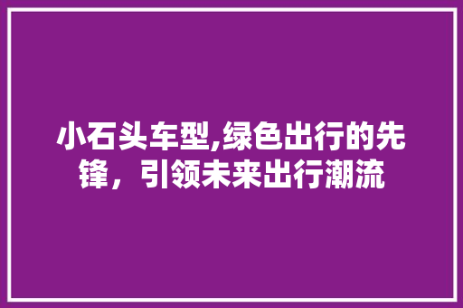 小石头车型,绿色出行的先锋，引领未来出行潮流