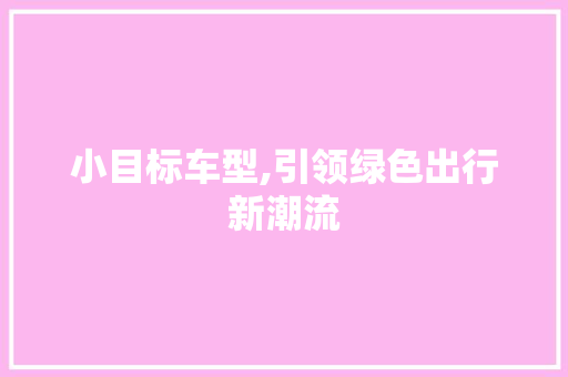 小目标车型,引领绿色出行新潮流