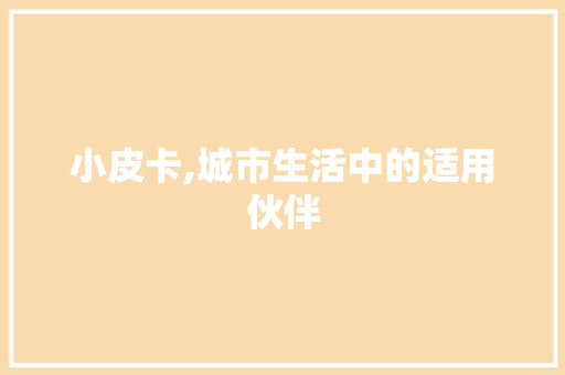 小皮卡,城市生活中的适用伙伴