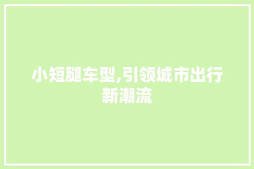 小短腿车型,引领城市出行新潮流