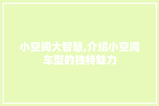 小空间大智慧,介绍小空间车型的独特魅力