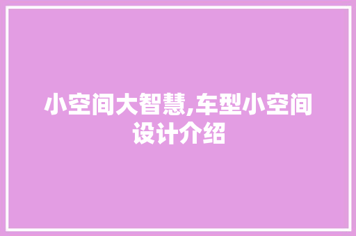 小空间大智慧,车型小空间设计介绍