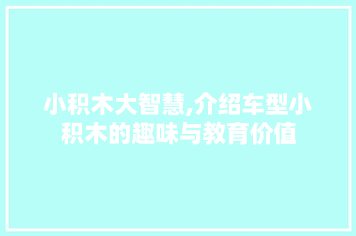 小积木大智慧,介绍车型小积木的趣味与教育价值