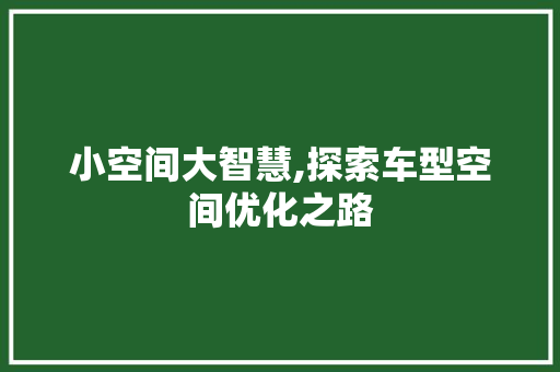 小空间大智慧,探索车型空间优化之路