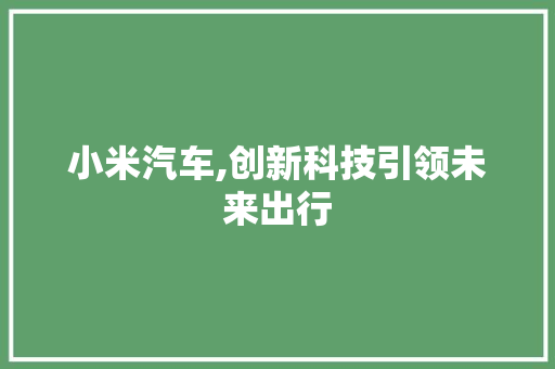 小米汽车,创新科技引领未来出行