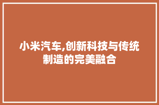 小米汽车,创新科技与传统制造的完美融合