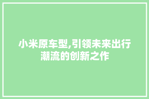 小米原车型,引领未来出行潮流的创新之作