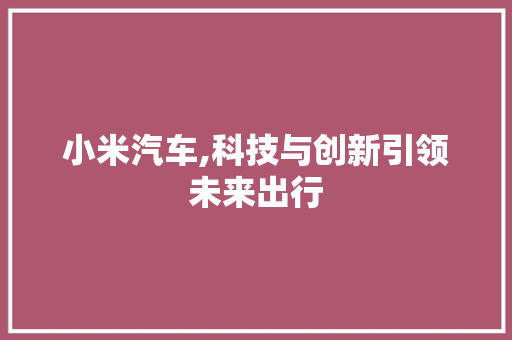 小米汽车,科技与创新引领未来出行