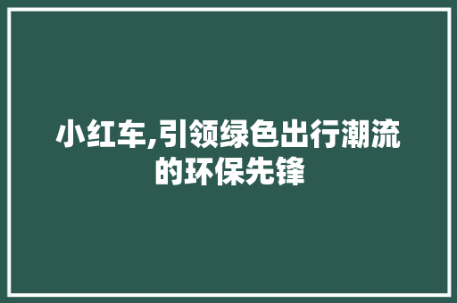 小红车,引领绿色出行潮流的环保先锋