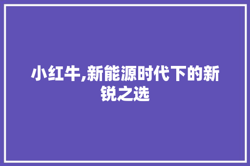 小红牛,新能源时代下的新锐之选