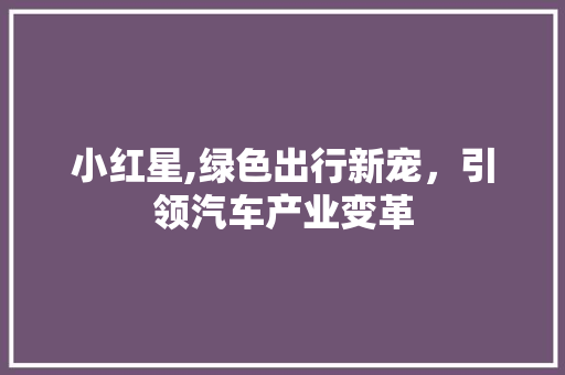 小红星,绿色出行新宠，引领汽车产业变革