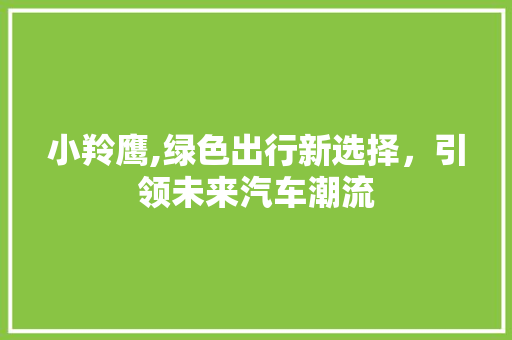 小羚鹰,绿色出行新选择，引领未来汽车潮流
