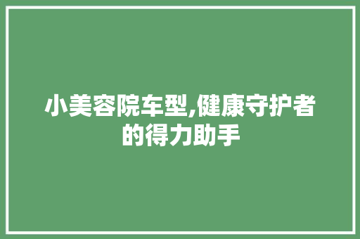 小美容院车型,健康守护者的得力助手