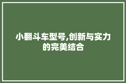小翻斗车型号,创新与实力的完美结合