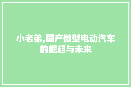 小老弟,国产微型电动汽车的崛起与未来