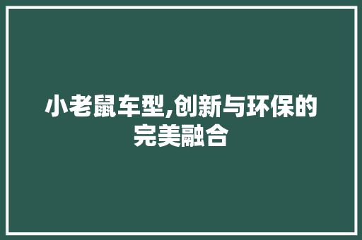小老鼠车型,创新与环保的完美融合