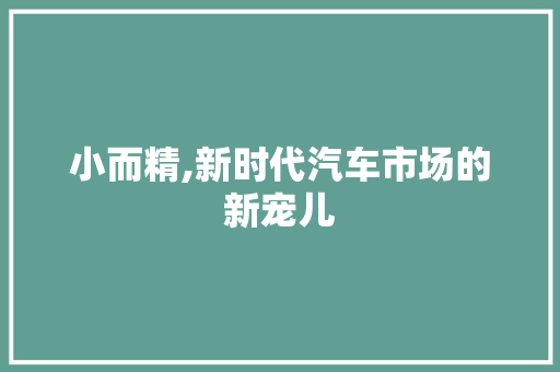 小而精,新时代汽车市场的新宠儿