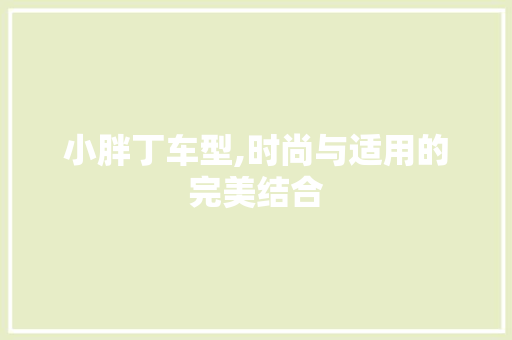 小胖丁车型,时尚与适用的完美结合