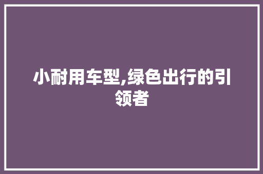 小耐用车型,绿色出行的引领者