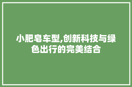 小肥皂车型,创新科技与绿色出行的完美结合
