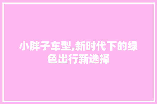 小胖子车型,新时代下的绿色出行新选择