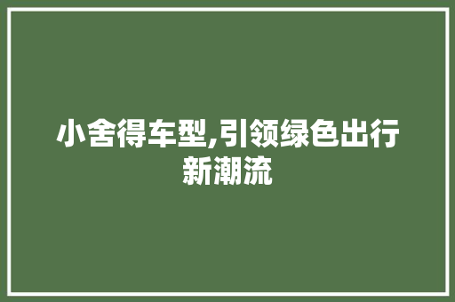 小舍得车型,引领绿色出行新潮流 新能源汽车