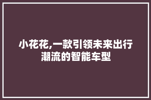 小花花,一款引领未来出行潮流的智能车型