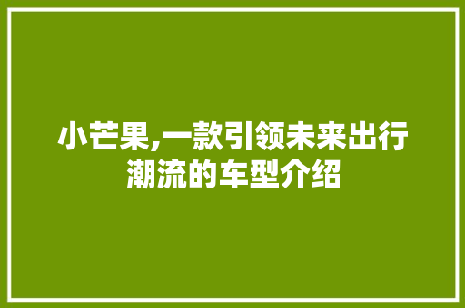 小芒果,一款引领未来出行潮流的车型介绍