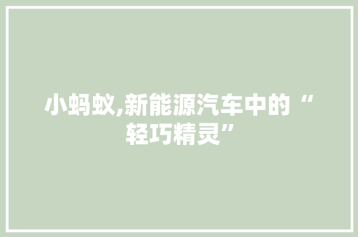 小蚂蚁,新能源汽车中的“轻巧精灵”