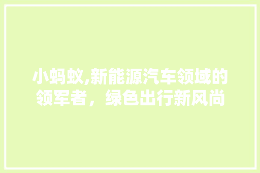 小蚂蚁,新能源汽车领域的领军者，绿色出行新风尚