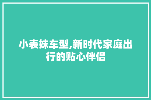 小表妹车型,新时代家庭出行的贴心伴侣