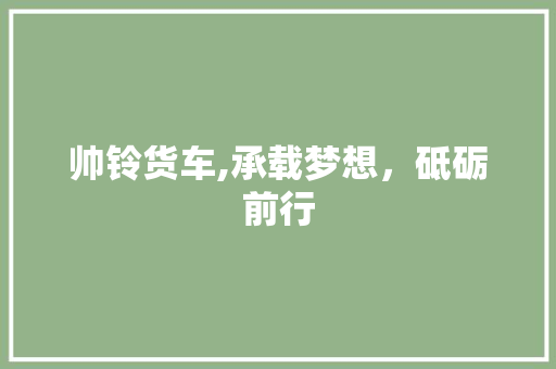 帅铃货车,承载梦想，砥砺前行