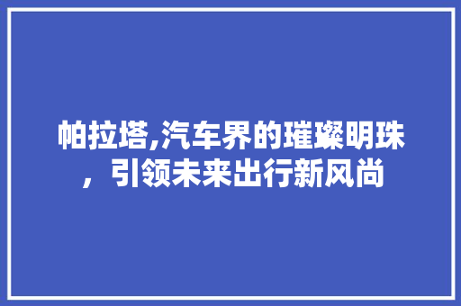 帕拉塔,汽车界的璀璨明珠，引领未来出行新风尚