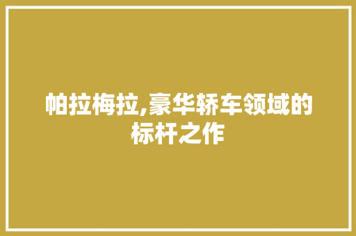 帕拉梅拉,豪华轿车领域的标杆之作