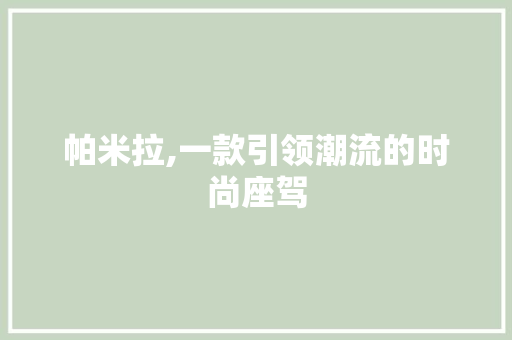 帕米拉,一款引领潮流的时尚座驾