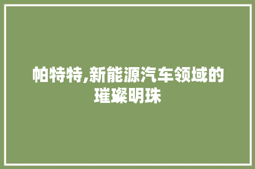 帕特特,新能源汽车领域的璀璨明珠
