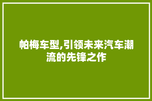 帕梅车型,引领未来汽车潮流的先锋之作