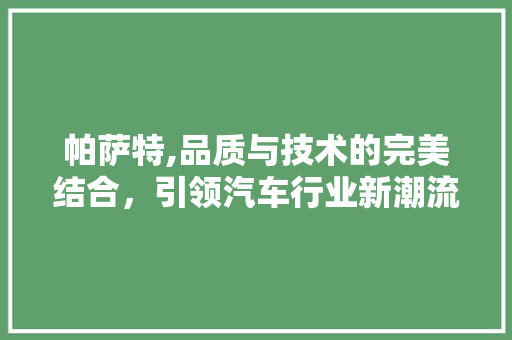 帕萨特,品质与技术的完美结合，引领汽车行业新潮流
