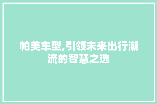 帕美车型,引领未来出行潮流的智慧之选