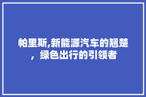 帕里斯,新能源汽车的翘楚，绿色出行的引领者