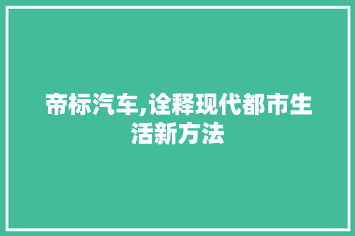 帝标汽车,诠释现代都市生活新方法