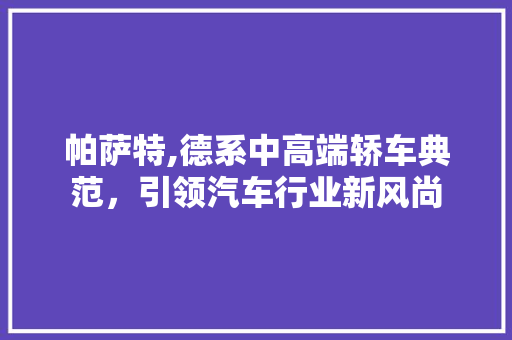 帕萨特,德系中高端轿车典范，引领汽车行业新风尚